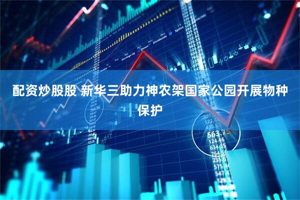 配资炒股股 新华三助力神农架国家公园开展物种保护