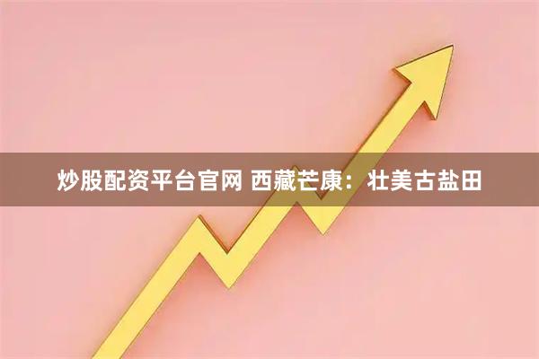 炒股配资平台官网 西藏芒康：壮美古盐田