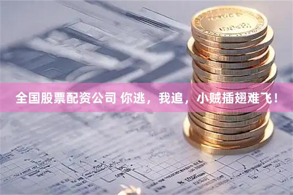 全国股票配资公司 你逃，我追，小贼插翅难飞！