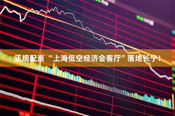 正规配资 “上海低空经济会客厅”落地长宁！